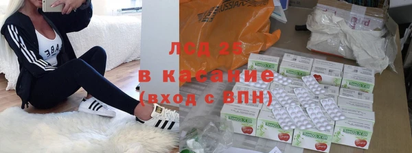 крисы Беломорск
