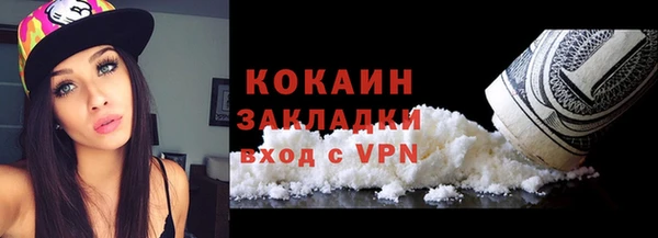 молекула духа Богданович