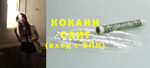 молекула духа Богданович