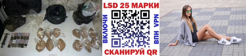 Лсд 25 экстази ecstasy  Купить закладки  Лесной 