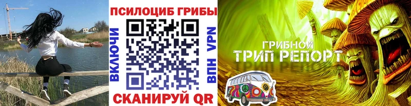 Купить закладки  Лесной  Галлюциногенные грибы Psilocybe 